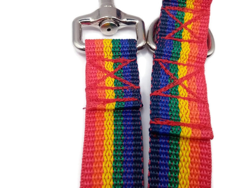 1" only Rainbow leash