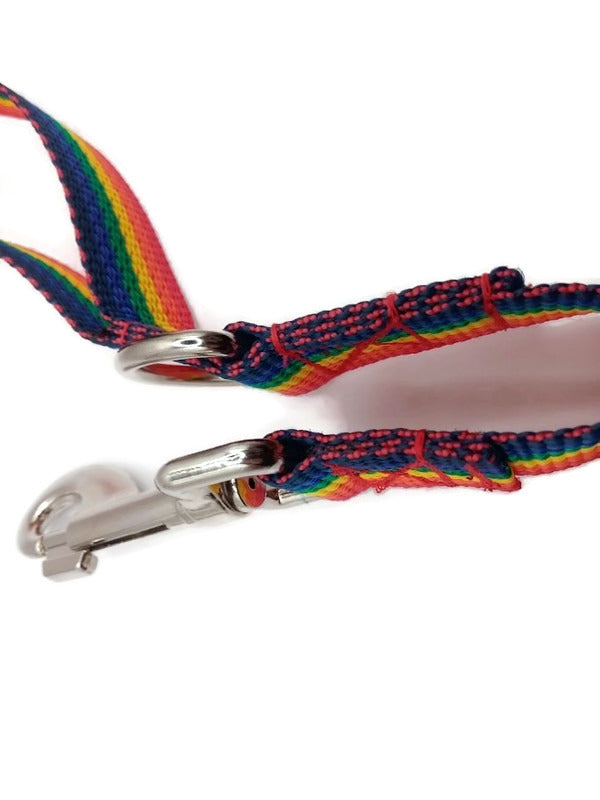 1" only Rainbow leash