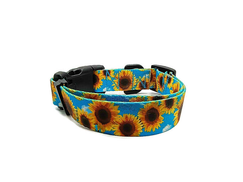 A metal free TSA friendly collar featuring all plastic hardware with beautiful sunflowers on a sky blue background. Designed for dogs with metal allergies and services dogs thru TSA checkpoints.