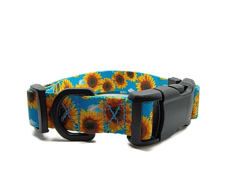A metal free TSA friendly collar featuring all plastic hardware with beautiful sunflowers on a sky blue background. Designed for dogs with metal allergies and services dogs thru TSA checkpoints.