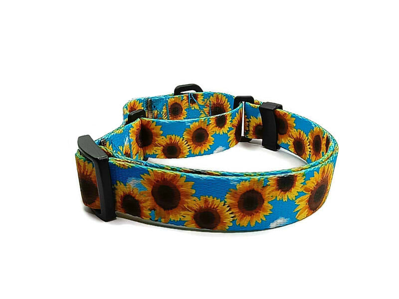 A metal free TSA friendly martingale collar featuring all plastic hardware with beautiful sunflowers on a sky blue background. Designed for dogs with metal allergies and services dogs thru TSA checkpoints.