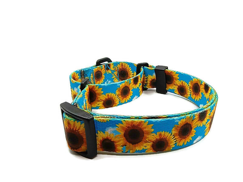 A metal free TSA friendly martingale collar featuring all plastic hardware with beautiful sunflowers on a sky blue background. Designed for dogs with metal allergies and services dogs thru TSA checkpoints.