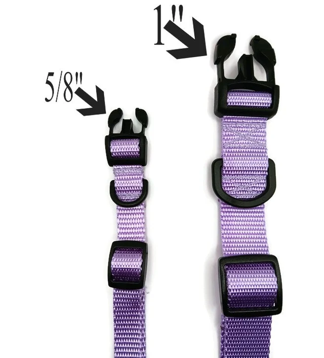 Outdoor Adventure buckle collar