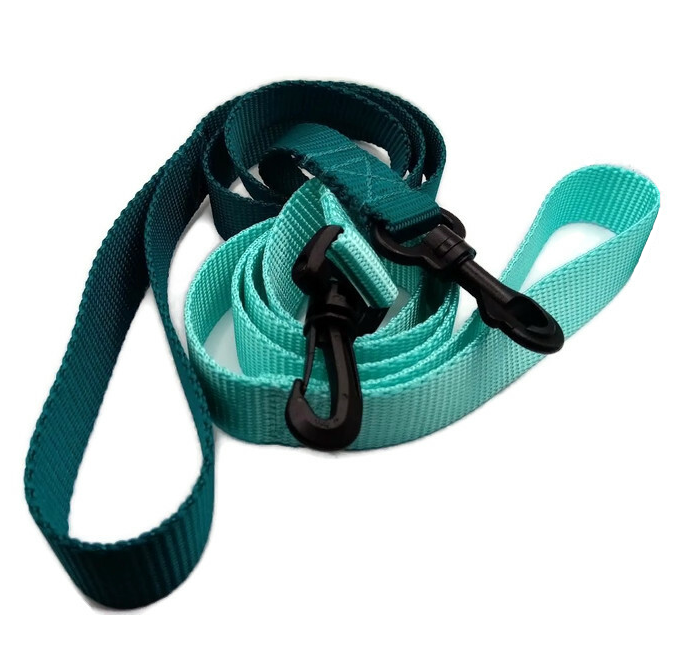 1" only Standard solid color metal free leash