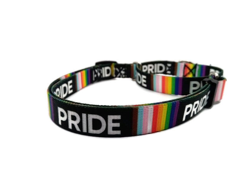 Pride Words martingale collar